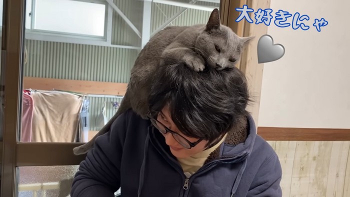 人の頭に顔を乗せる猫