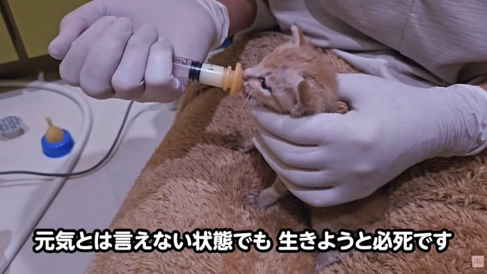 テロップ「元気とは言えない状態でも～」