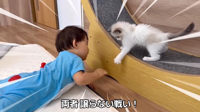 テロップ「両者譲らない戦い!」