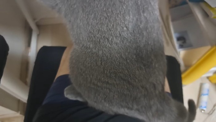 足元
