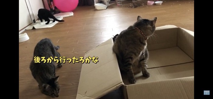 後ろからも狙われる