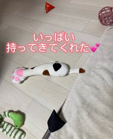 床に置かれたたくさんのオモチャ