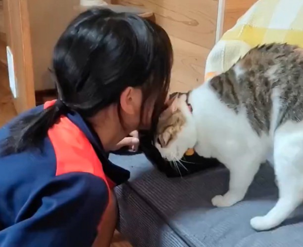 テンちゃんにキスするお姉ちゃん