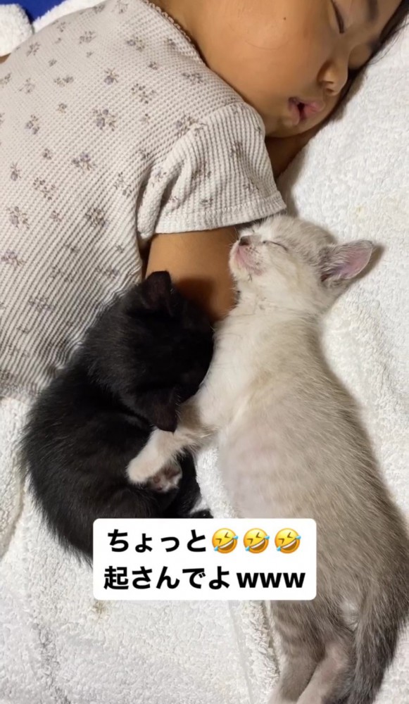 赤ちゃんに寄り添って寝る2匹の子猫3