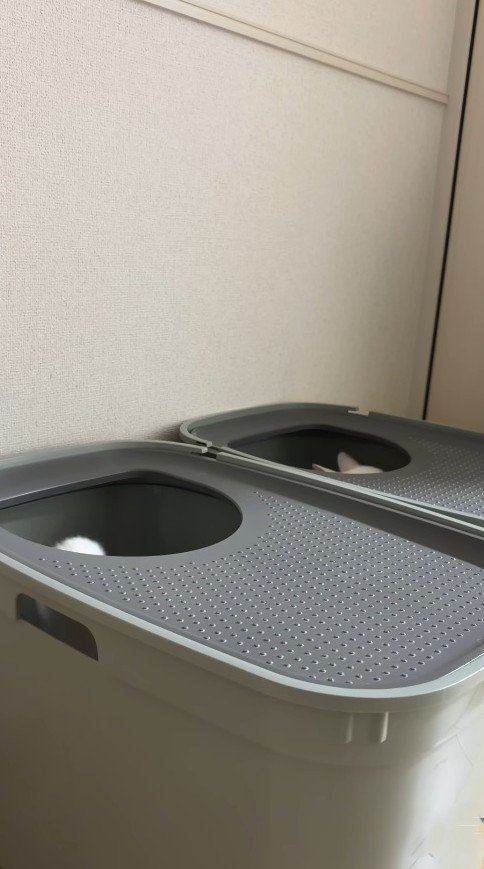 トイレの中に入る猫2匹