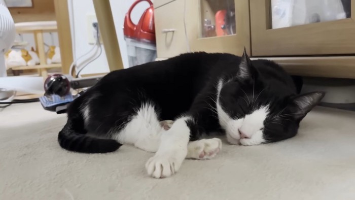 ひまわりちゃんのアップ