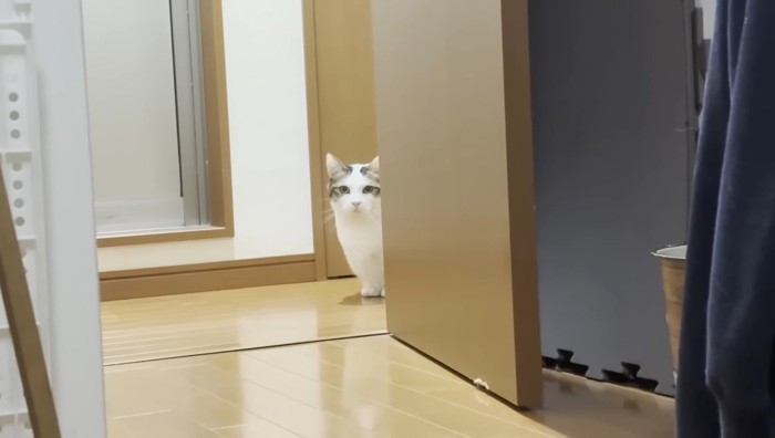 ドアの陰に