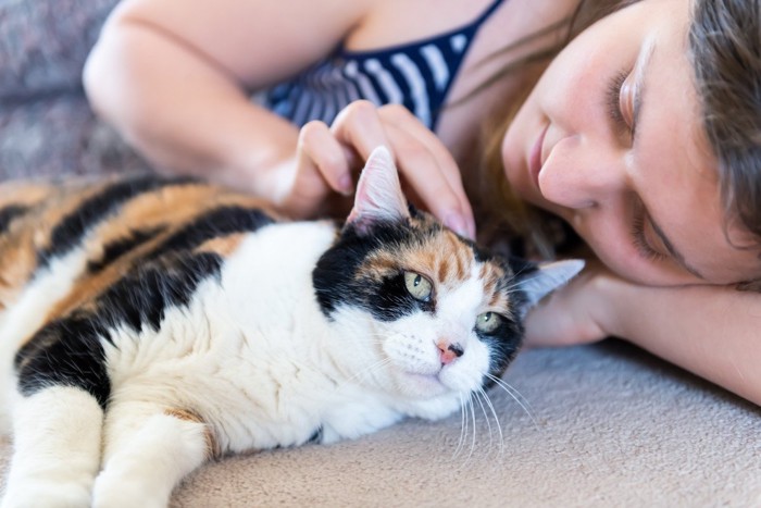 女性に背中越しで寄り添う猫