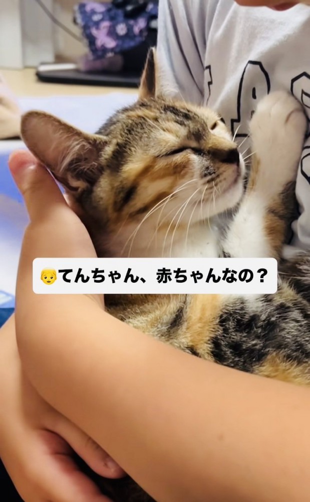 息子さんに抱っこされる子猫
