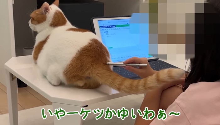 かゆいわぁ〜