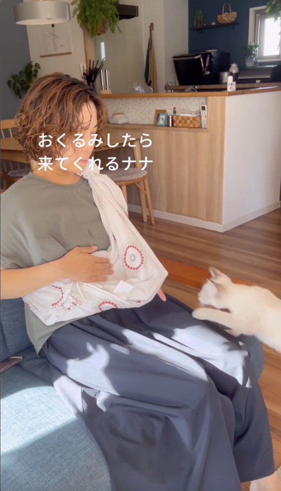 飼い主さんの元に飛んでくる猫