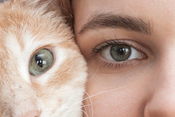 目の色が同じな女性と猫