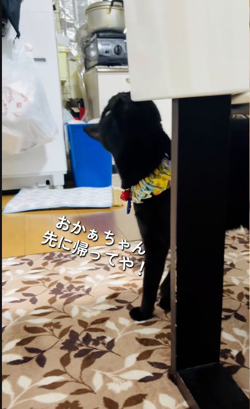 テーブルに顔をこすりつけている猫