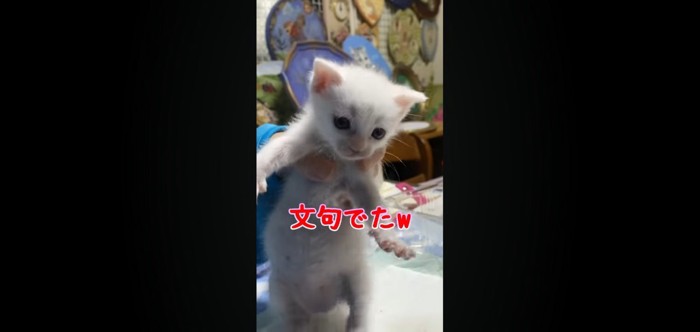 文句出た