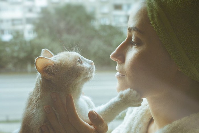 飼い主と話す猫