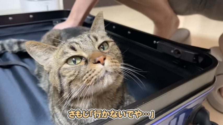 「行かないでや…」￥