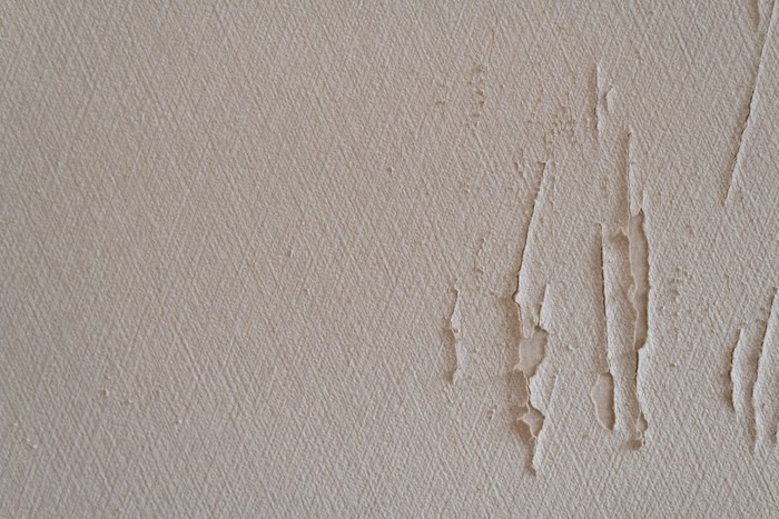 猫が爪でひっかいた壁紙