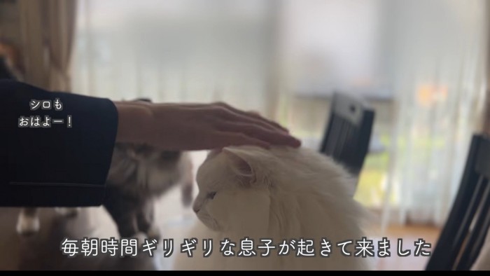 テロップ「毎朝ギリギリな~」