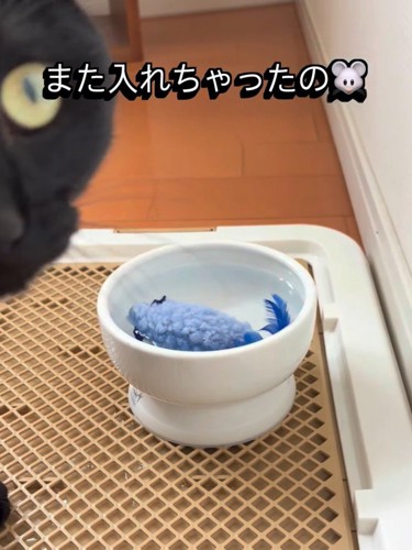 水に浸るおもちゃ