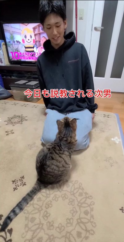 次男さんに説教する猫