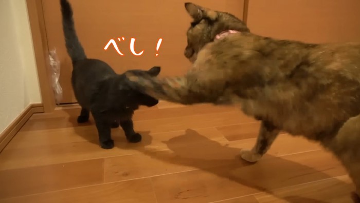 べし!