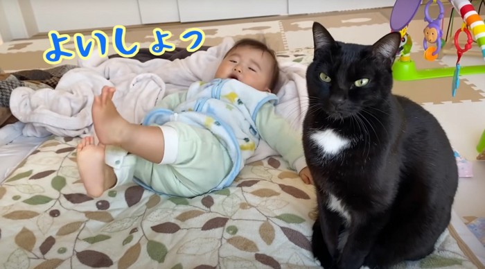 倒れる赤ちゃんと黒猫