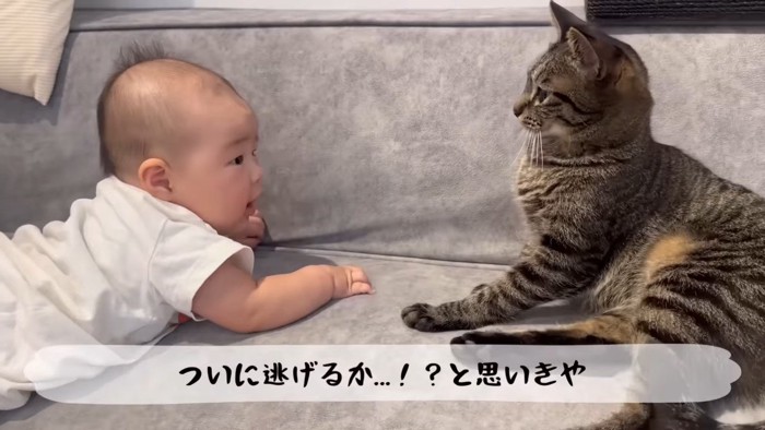体を起こして