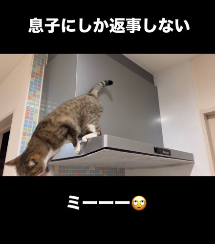 飛び降りる