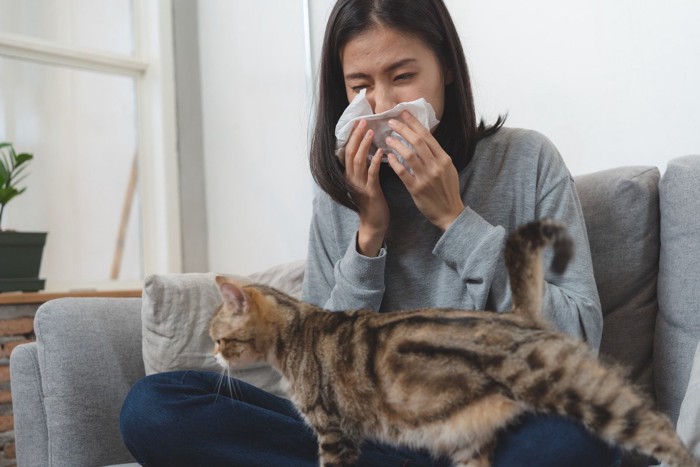 猫アレルギー