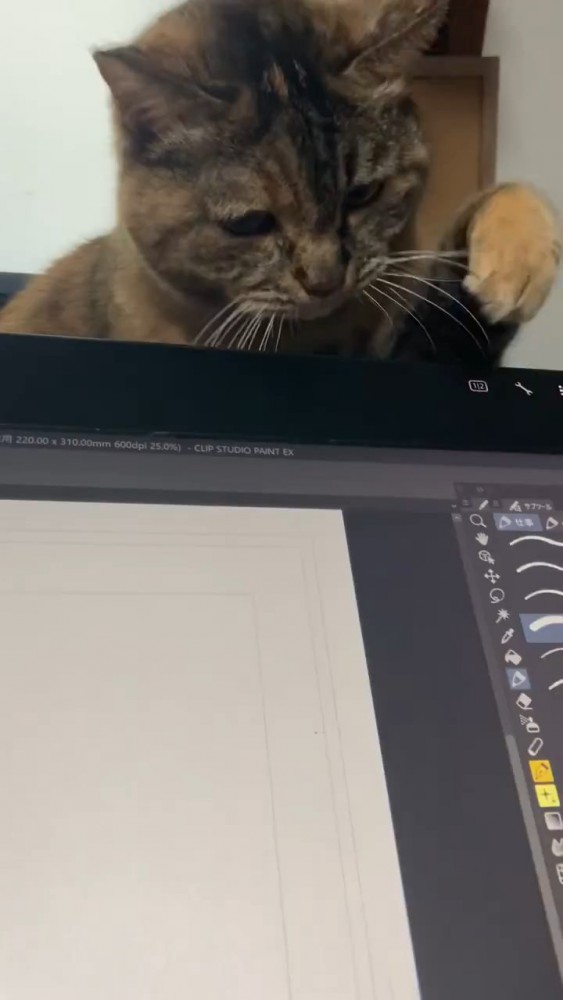 猫パンチしようとする猫