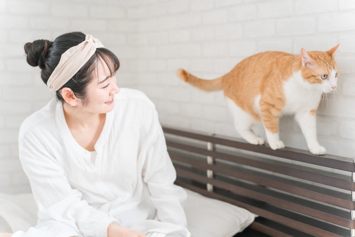 歩く猫を見る人