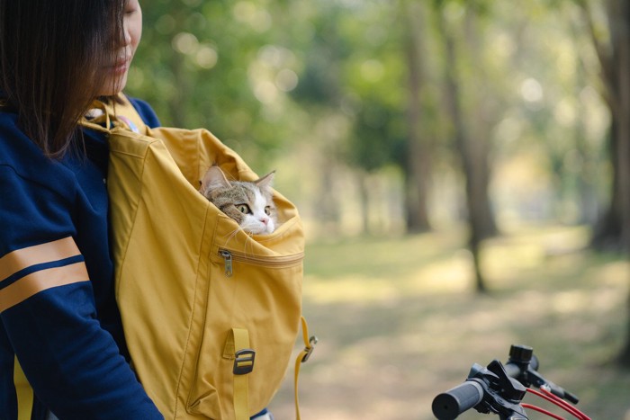 リュックに入って自転車に乗る猫