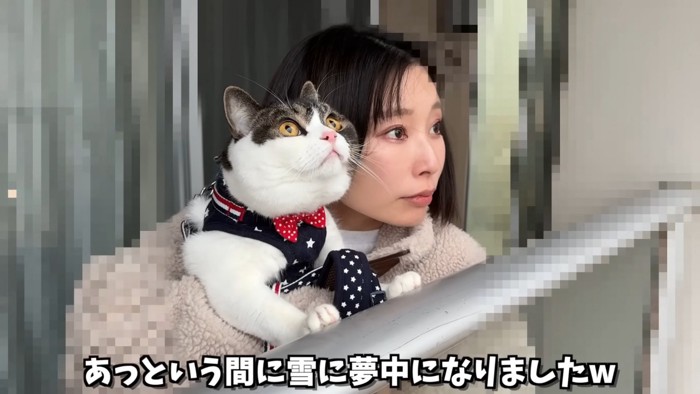 抱っこされ上を見る猫