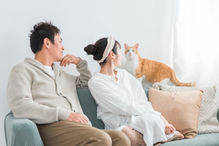 猫と男女