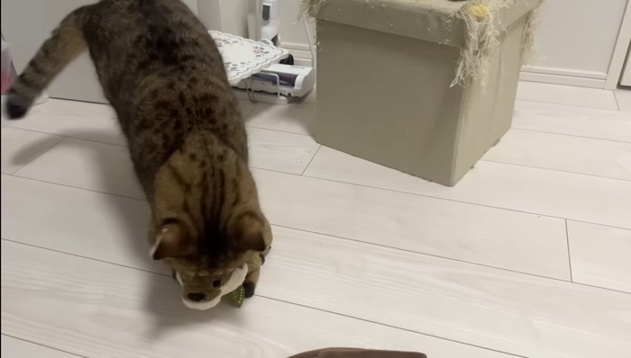 覆い被さって