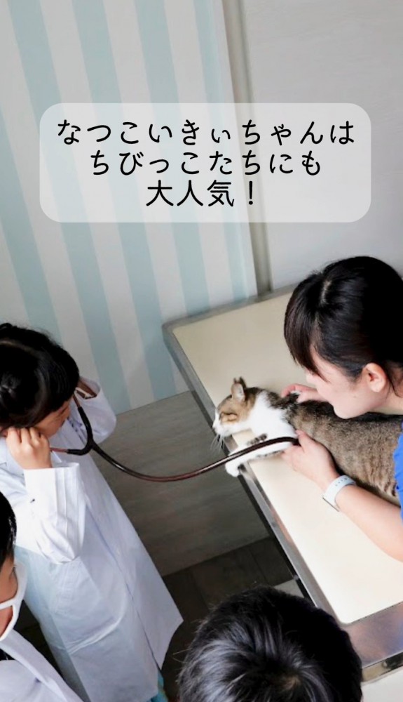 子どもたちと猫