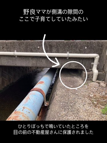側溝