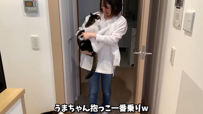 抱っこされる猫