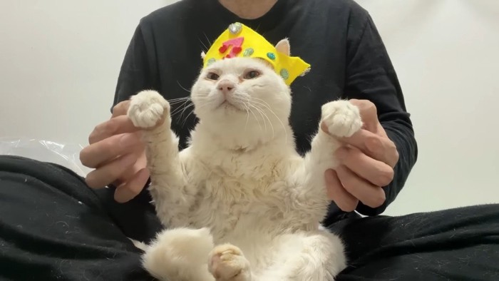 両前足を上げて