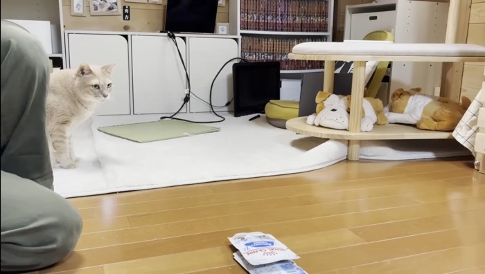 ママさんの後ろに
