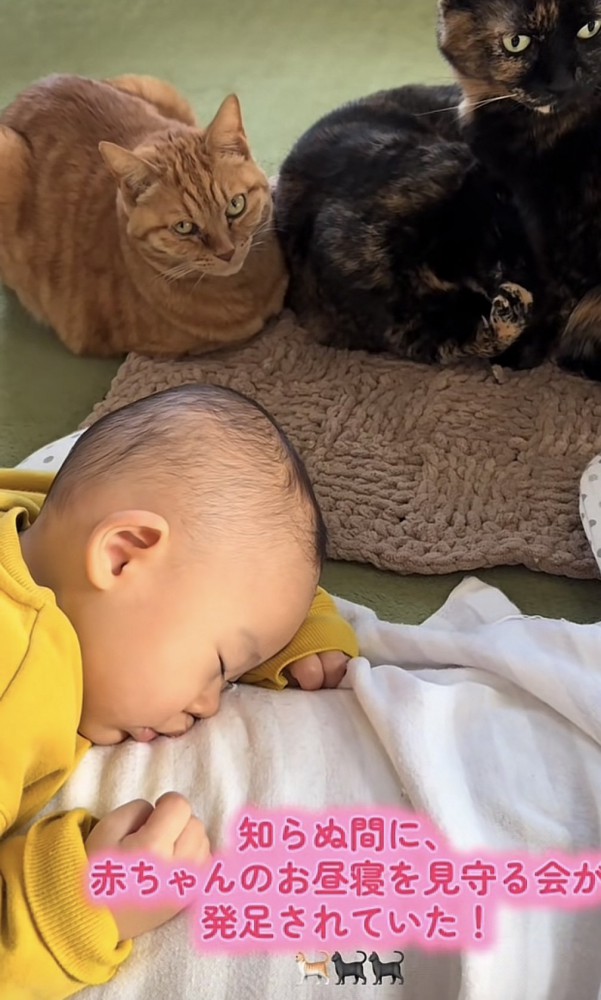 「知らぬ間に...」のテロップ写真1