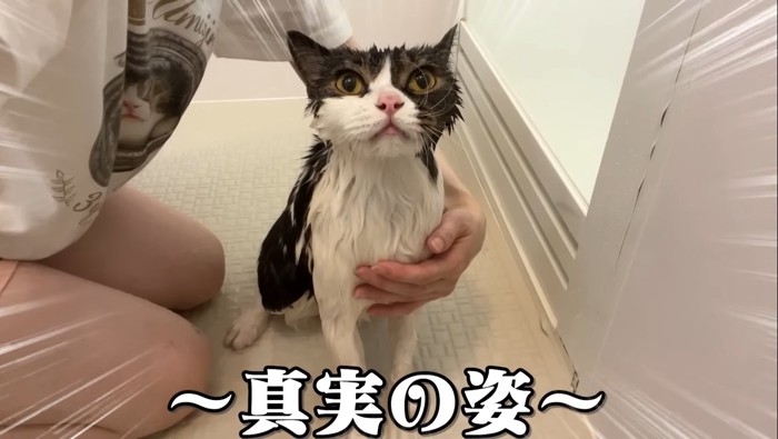 真実の姿