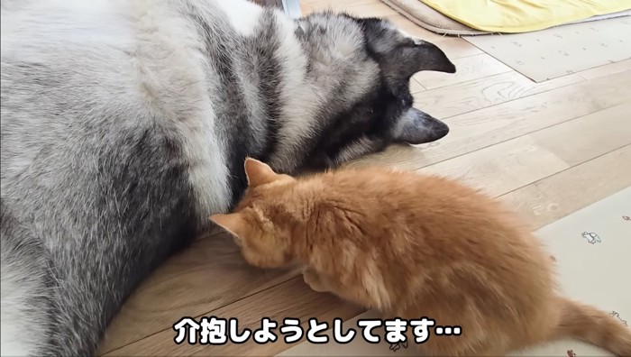 介抱しようと