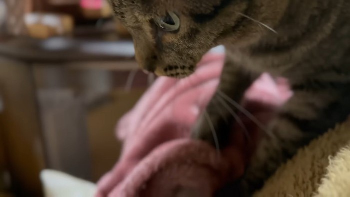 ふみふみする空くん