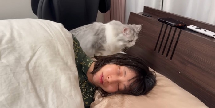 寝ている人とその後ろを歩いている猫