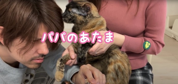 飼い主の頭の匂いを嗅ぐサビ猫