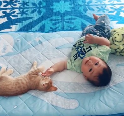 猫の方に手を伸ばしてカメラ目線の赤ちゃん