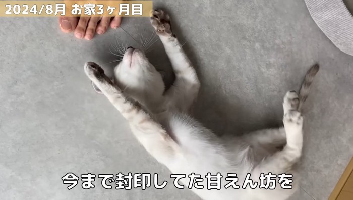 お家3か月目