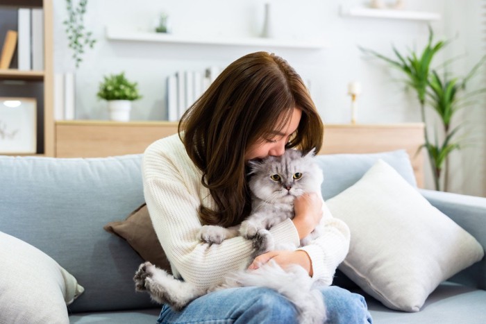 フワフワの猫を抱きしめる女性