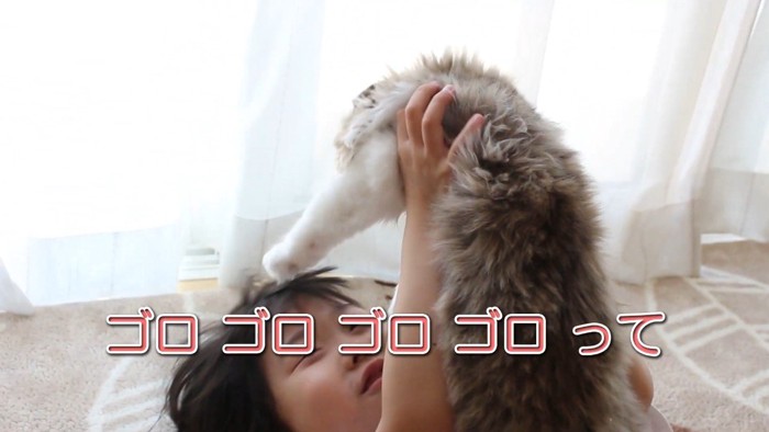 ゴロゴロゴロゴロって